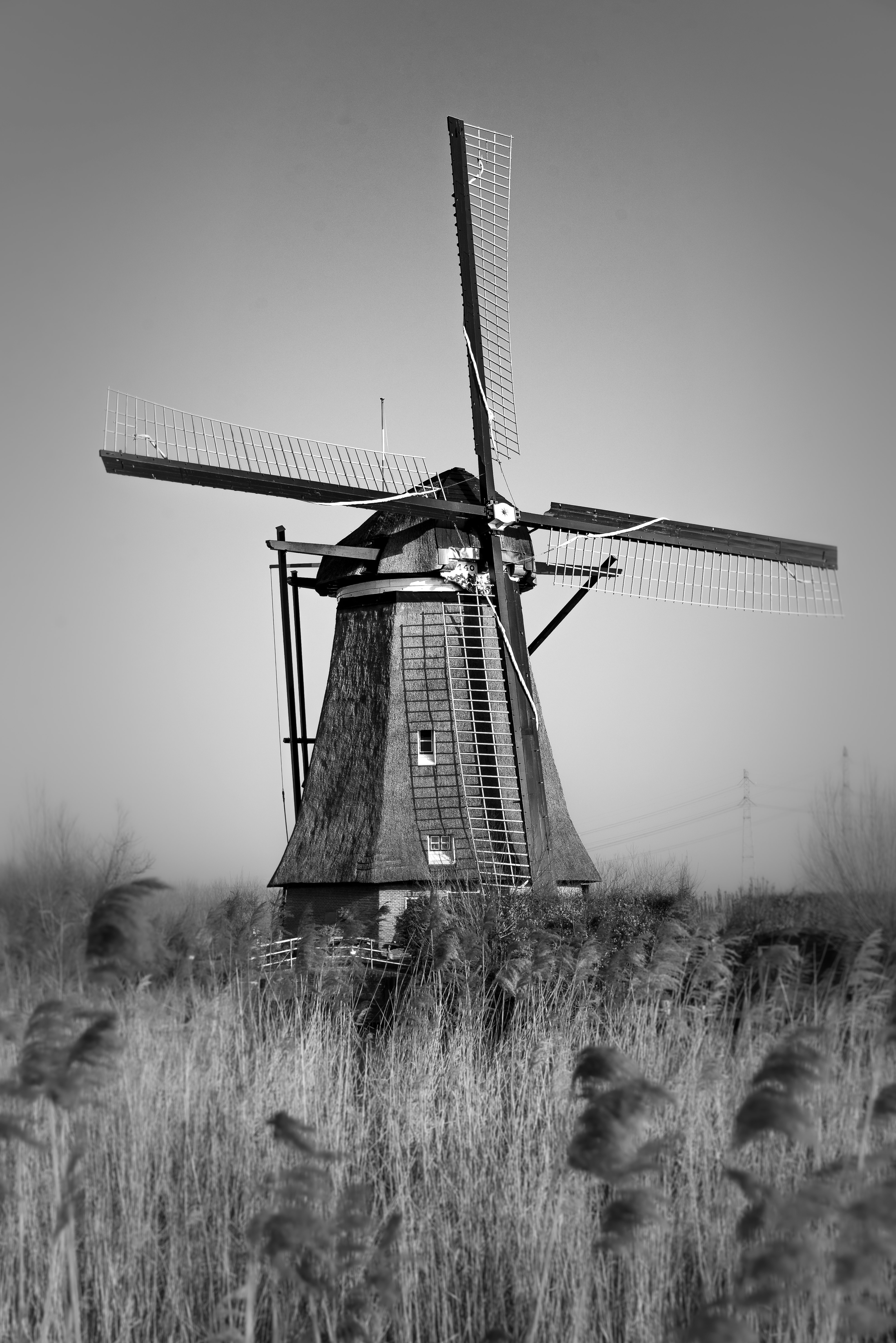 windmill in the middle of grass field